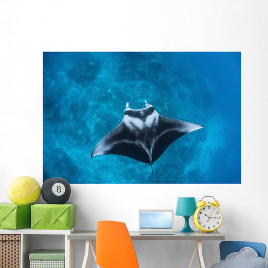 Large Reef Manta Ray Wall Decal Design 1