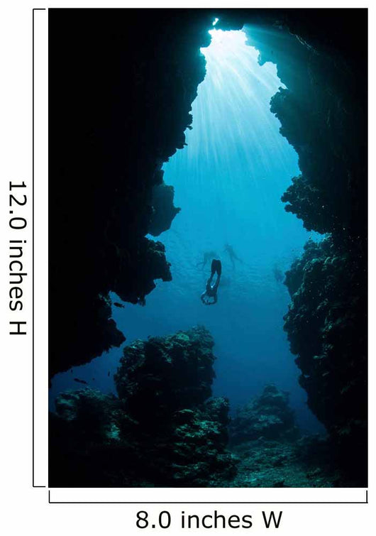 Sunlight Descends Underwater and Wall Decal Design 1