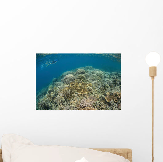 Snorkeler Explores Healthy Coral Wall Decal
