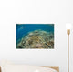 Snorkeler Explores Healthy Coral Wall Decal