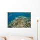 Snorkeler Explores Healthy Coral Wall Decal