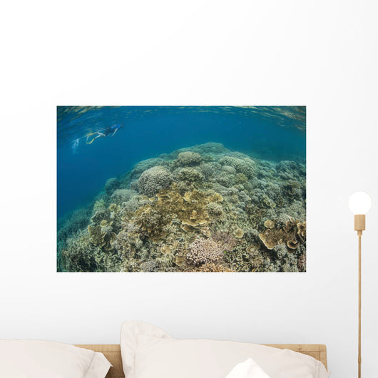 Snorkeler Explores Healthy Coral Wall Decal