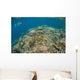 Snorkeler Explores Healthy Coral Wall Decal