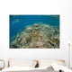 Snorkeler Explores Healthy Coral Wall Decal