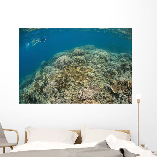 Snorkeler Explores Healthy Coral Wall Decal