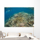 Snorkeler Explores Healthy Coral Wall Decal