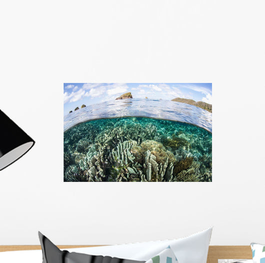 Beautiful Coral Reef Raja Wall Decal Design 9