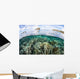 Beautiful Coral Reef Raja Wall Decal Design 9