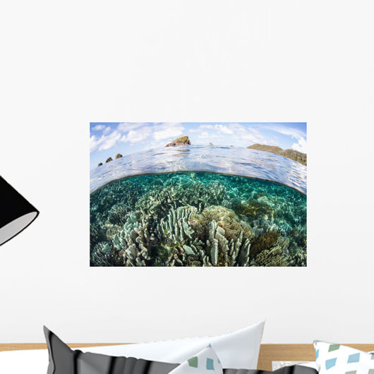 Beautiful Coral Reef Raja Wall Decal Design 9