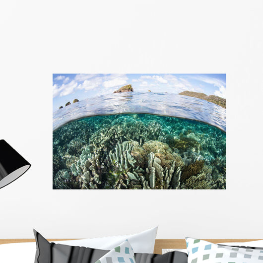 Beautiful Coral Reef Raja Wall Decal Design 9