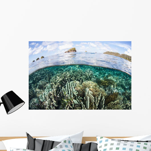 Beautiful Coral Reef Raja Wall Decal Design 9
