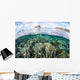 Beautiful Coral Reef Raja Wall Decal Design 9