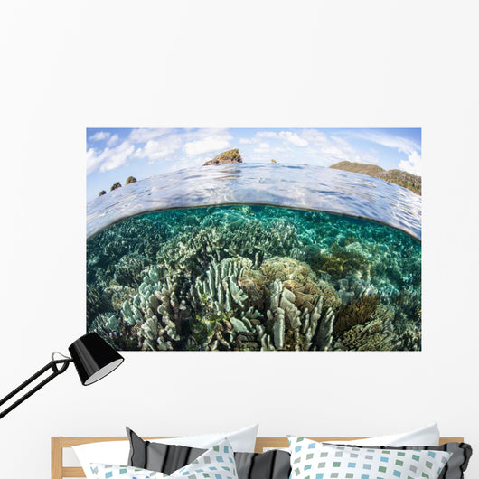 Beautiful Coral Reef Raja Wall Decal Design 9