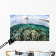 Beautiful Coral Reef Raja Wall Decal Design 9