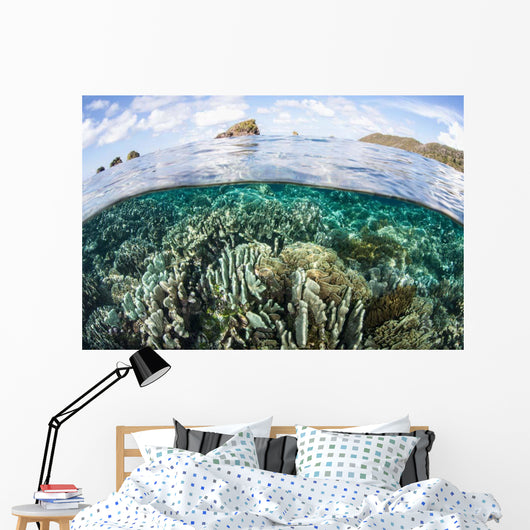 Beautiful Coral Reef Raja Wall Decal Design 9