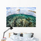 Beautiful Coral Reef Raja Wall Decal Design 9