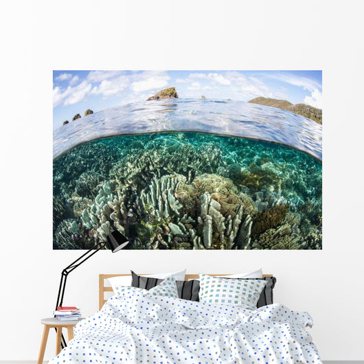 Beautiful Coral Reef Raja Wall Decal Design 9