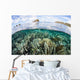 Beautiful Coral Reef Raja Wall Decal Design 9