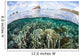 Beautiful Coral Reef Raja Wall Decal Design 9