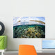 Beautiful Coral Reef Raja Wall Decal Design 8