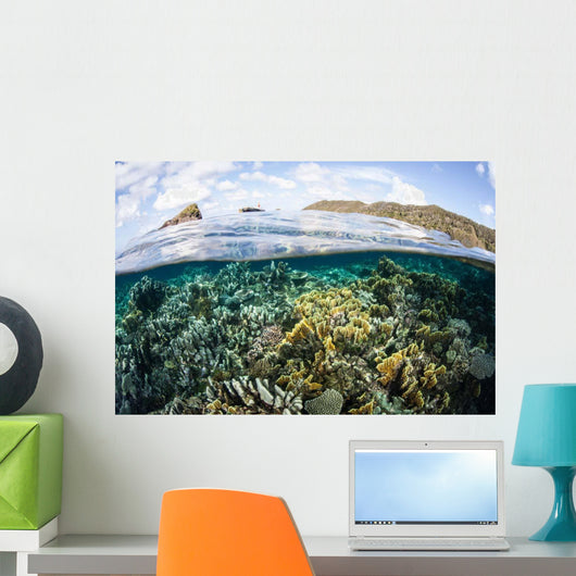 Beautiful Coral Reef Raja Wall Decal Design 8