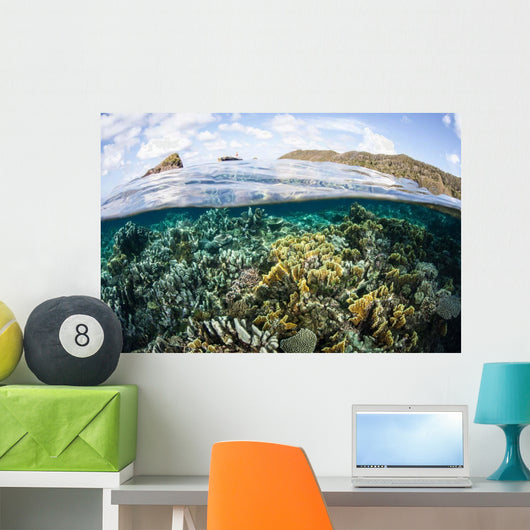 Beautiful Coral Reef Raja Wall Decal Design 8