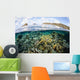 Beautiful Coral Reef Raja Wall Decal Design 8