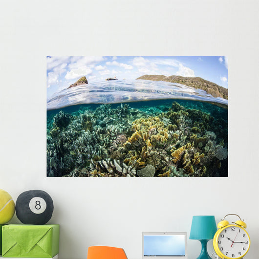 Beautiful Coral Reef Raja Wall Decal Design 8