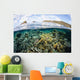 Beautiful Coral Reef Raja Wall Decal Design 8