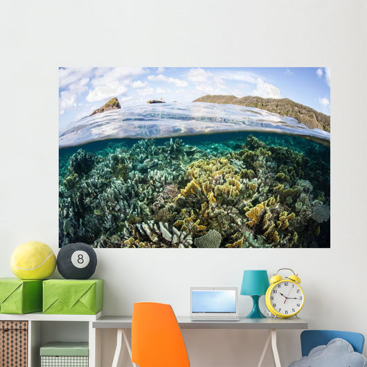 Beautiful Coral Reef Raja Wall Decal Design 8