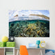 Beautiful Coral Reef Raja Wall Decal Design 8