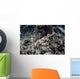 Endemic Epaulette Shark Swims Wall Decal