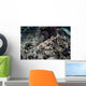 Endemic Epaulette Shark Swims Wall Decal