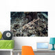 Endemic Epaulette Shark Swims Wall Decal