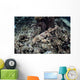 Endemic Epaulette Shark Swims Wall Decal