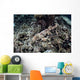 Endemic Epaulette Shark Swims Wall Decal