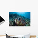 Giant Clam Grows Reef Wall Decal
