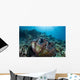 Giant Clam Grows Reef Wall Decal