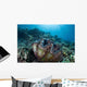 Giant Clam Grows Reef Wall Decal