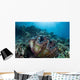 Giant Clam Grows Reef Wall Decal