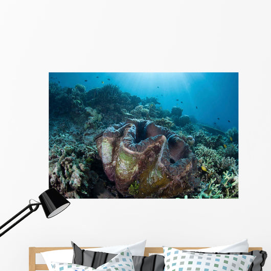 Giant Clam Grows Reef Wall Decal