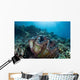 Giant Clam Grows Reef Wall Decal