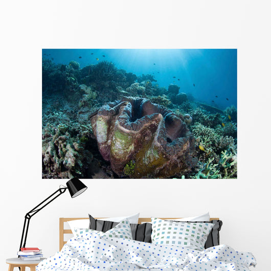 Giant Clam Grows Reef Wall Decal