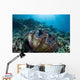 Giant Clam Grows Reef Wall Decal
