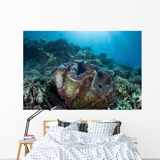 Giant Clam Grows Reef Wall Decal