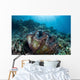 Giant Clam Grows Reef Wall Decal