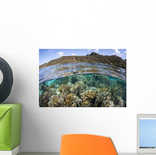 Beautiful Coral Reef Raja Wall Decal Design 7