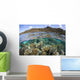 Beautiful Coral Reef Raja Wall Decal Design 7