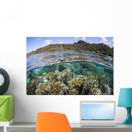 Beautiful Coral Reef Raja Wall Decal Design 7