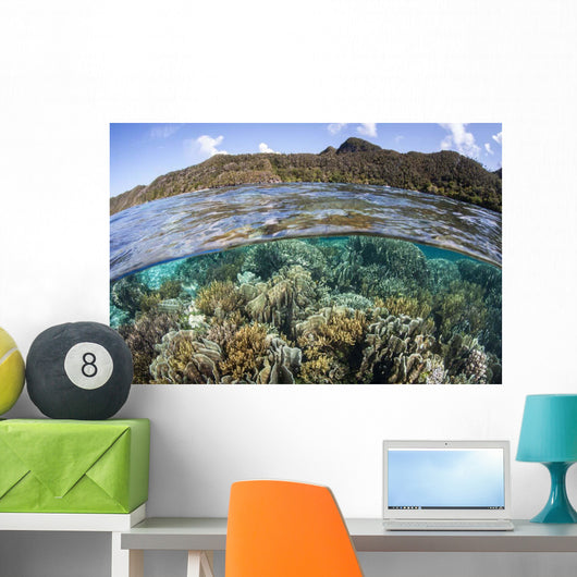 Beautiful Coral Reef Raja Wall Decal Design 7